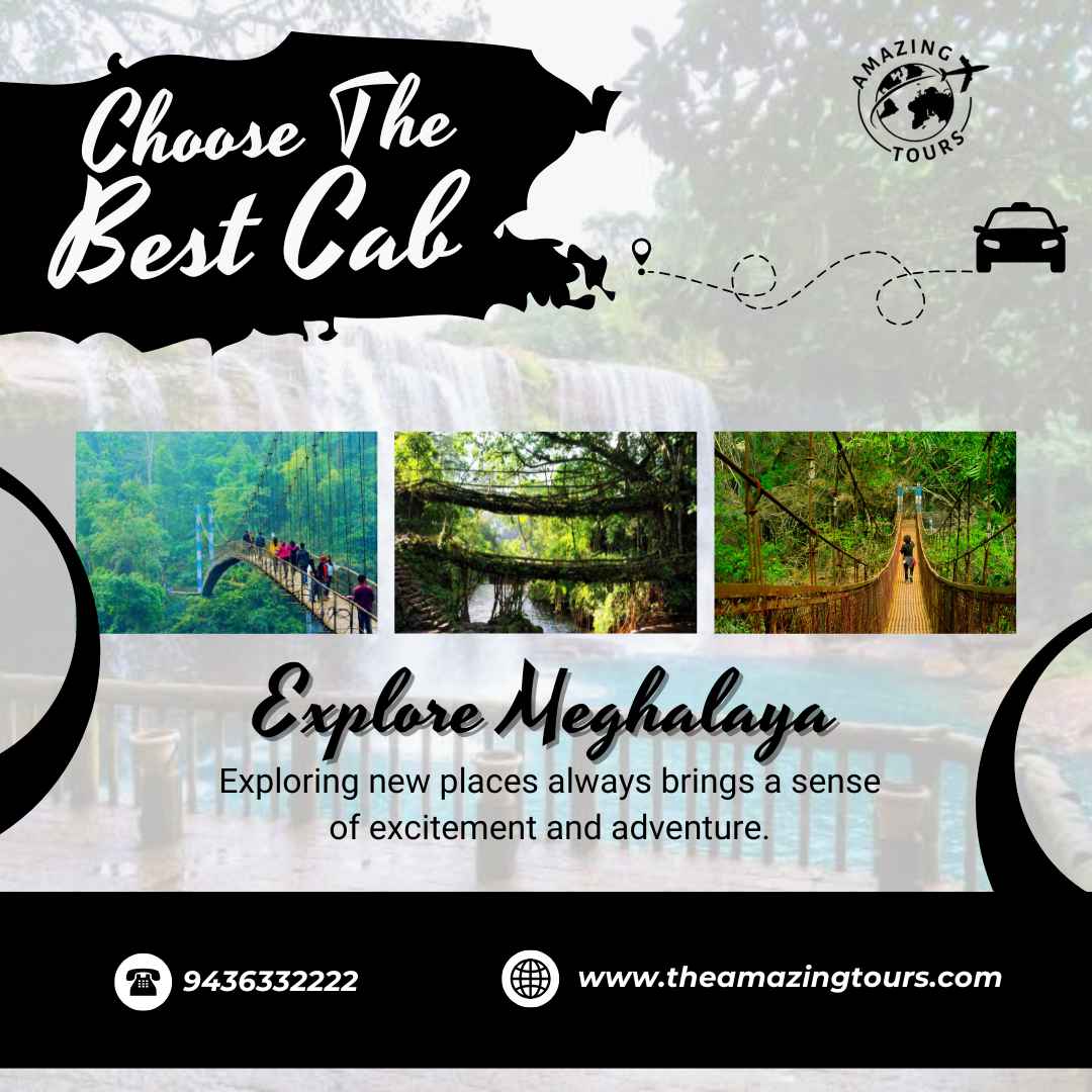 Amazing Tours