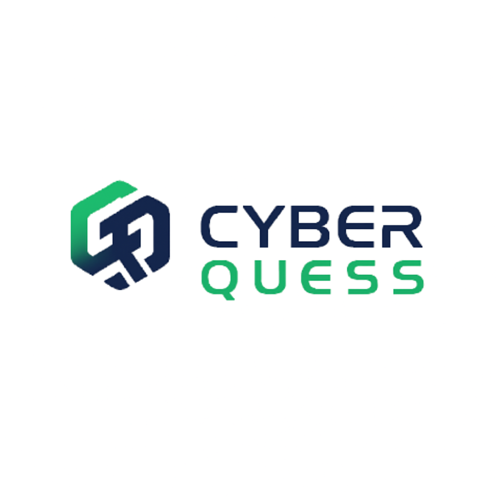 Cyber Quess