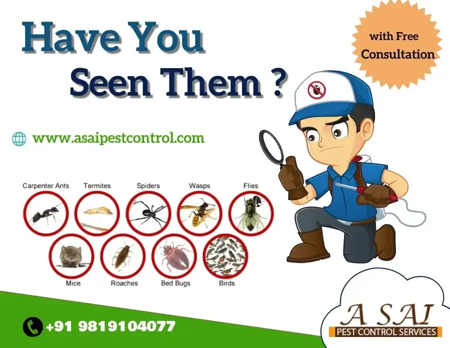 A sai Pest Control