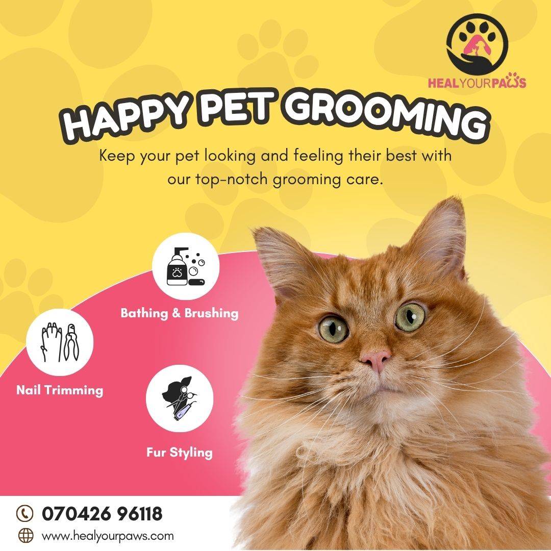 Heal Your Paws