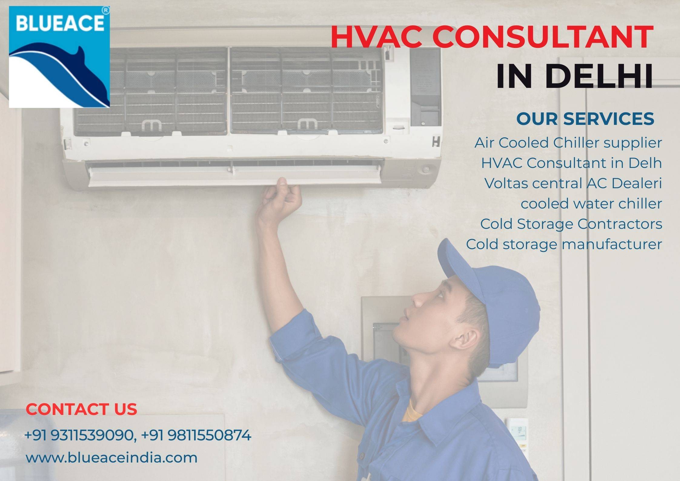 Blueace India Limited