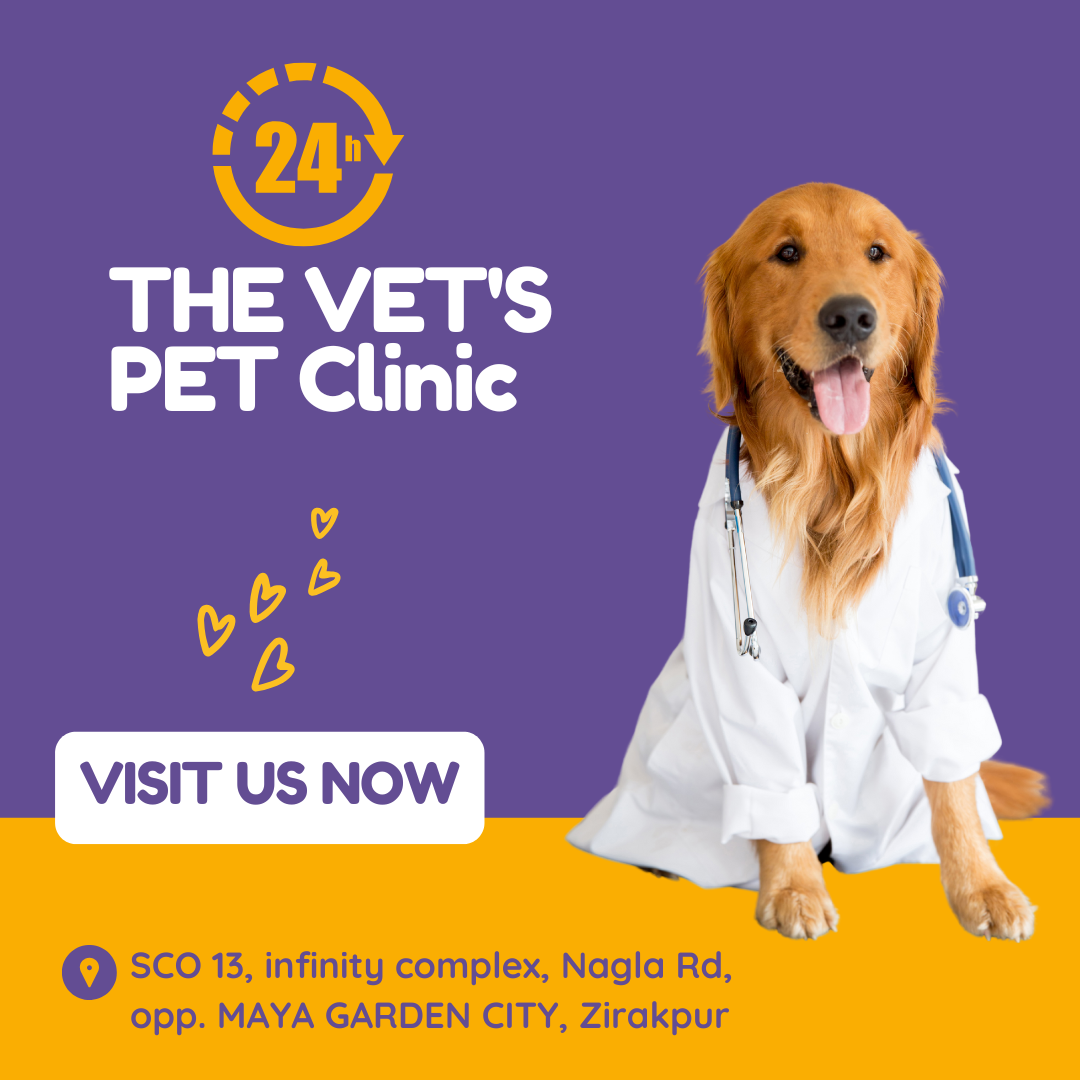 THE VET'S PET Clinic