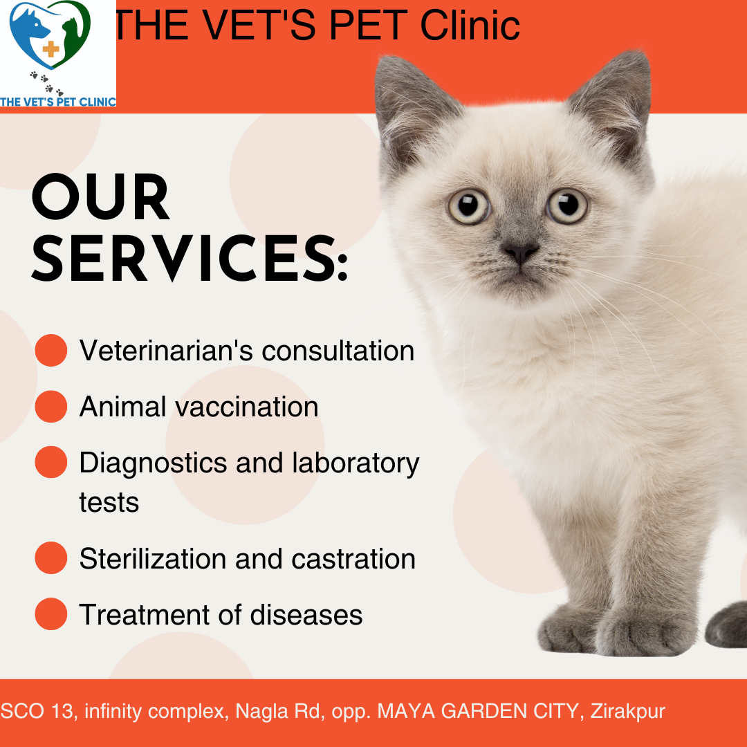 THE VET'S PET Clinic