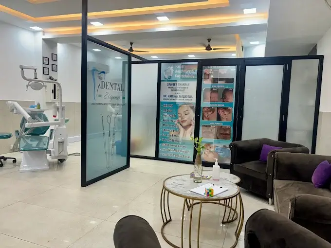 The Dental Elegance  Dr Aashu Thakran  Dentist