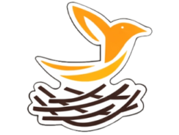 The Nest Salon – Best  Salon in Delhi