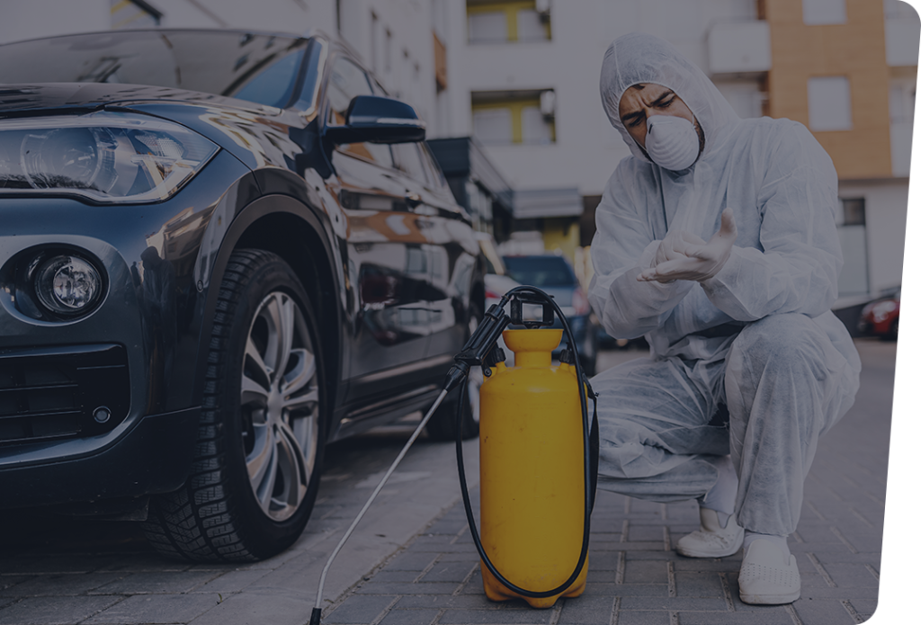 Cassini Pest Control