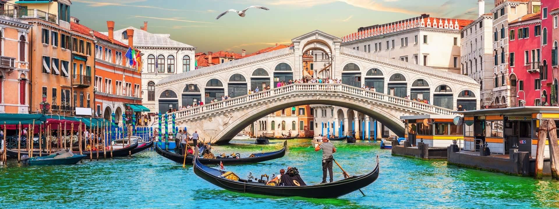 UniAdmits - Study Abroad Consultants