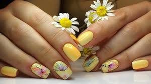 Nail Carpet Studio