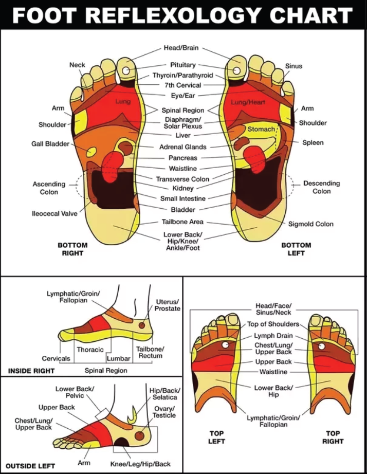 Foot 360° Care - The Complete Reflexology - Mogappair - Chennai
