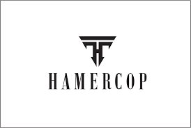 Hamercop