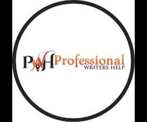 Professional writers help