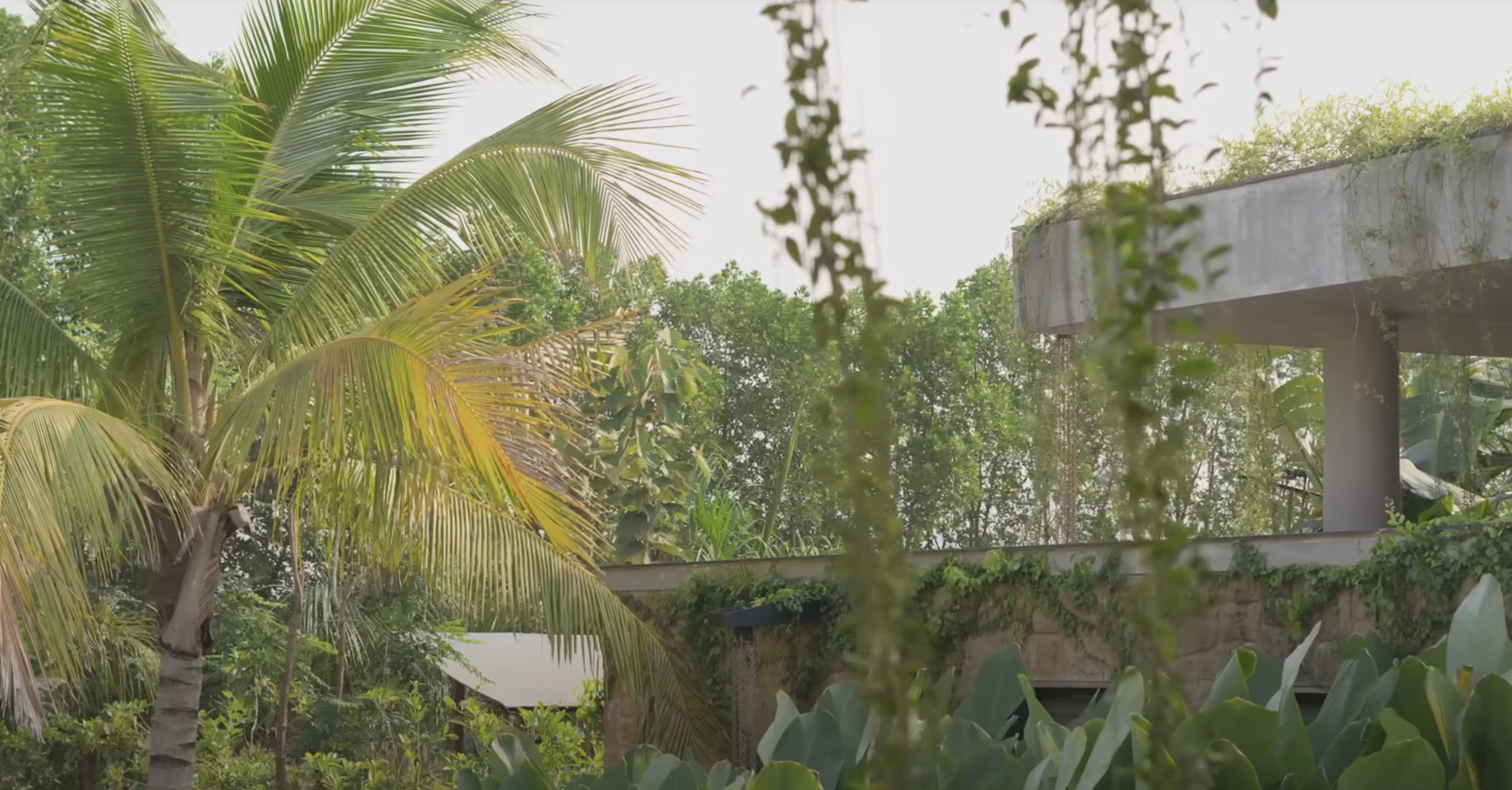 Vadodara Landscaping Company