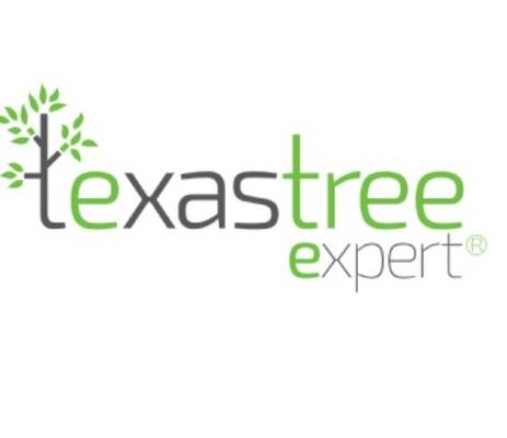 Affordable Demolition Services in Houston - Texas Tree Expert