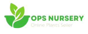 OPS Nursery