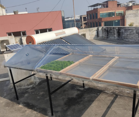 Raheja Solar Food Processing
