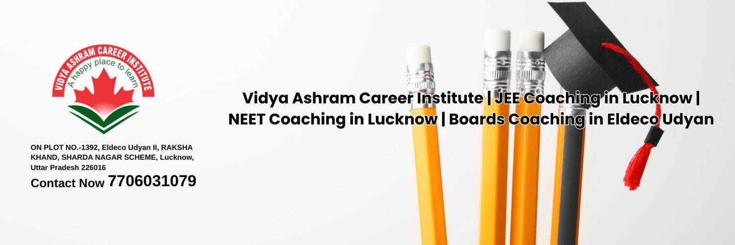 Vidya Ashram Career Institute 