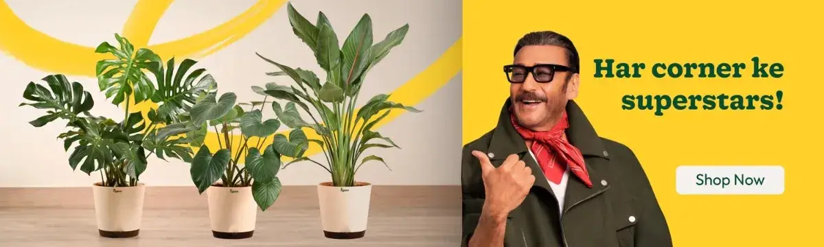 Ugaoo Agritech Pvt Ltd