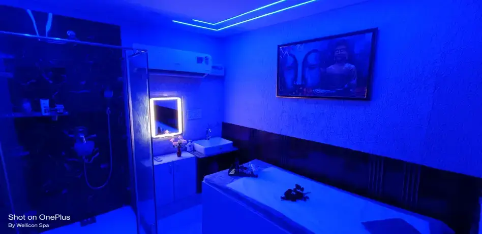 Wellicon Spa Sector 46 Gurgaon