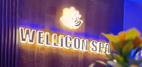Wellicon Spa Sector 46 Gurgaon