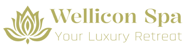 Wellicon Spa Sector 46 Gurgaon