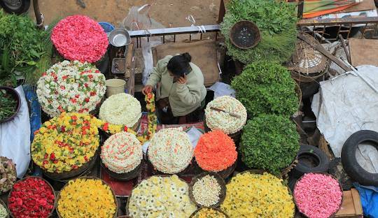 Gandhi Bazaar, Bangalore: Ultimate Shopping and Cultural Guide