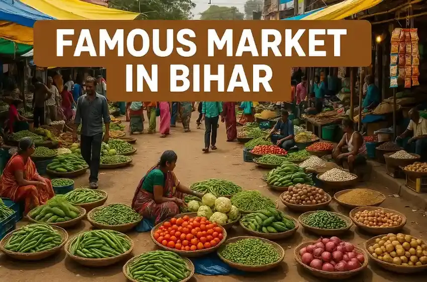 Top 10 Famous Markets in Bihar for Shopping | Best Shopping Markets in Patna & Bihar
