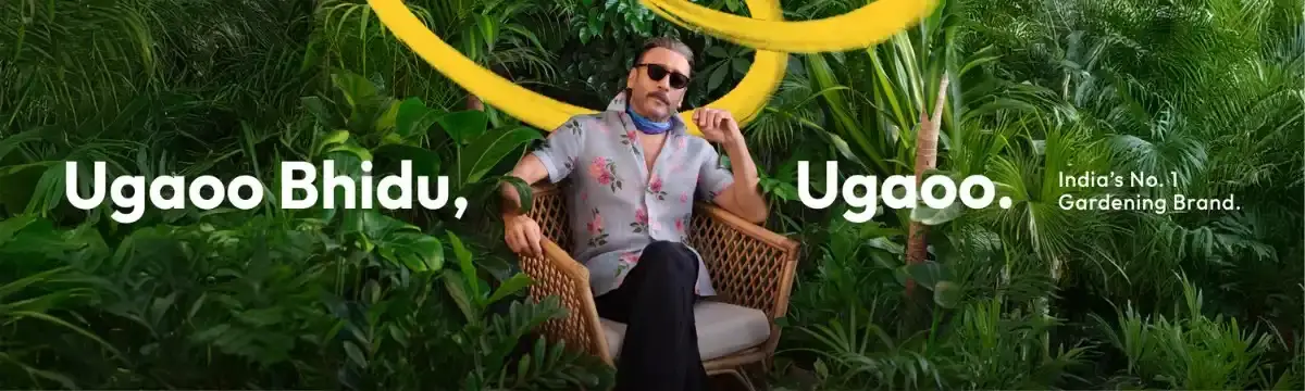 free business listing sites india